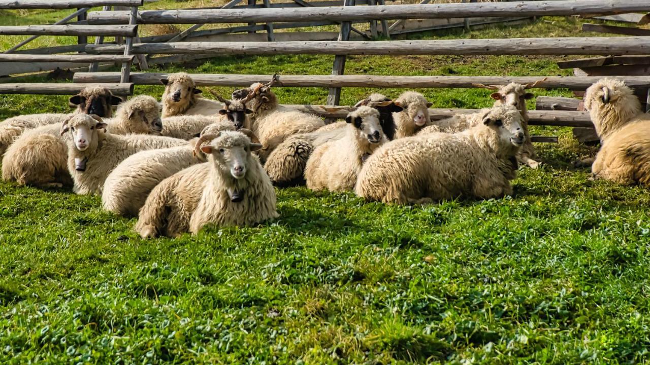Sichlanski Zakatek Murzasichle Exterior foto